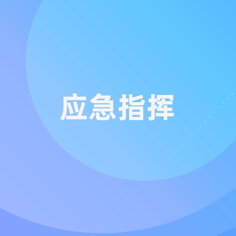 系统集成-应急指挥