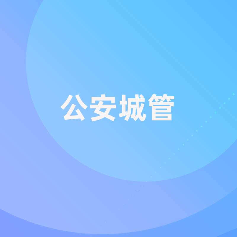 系统集成-公安城管